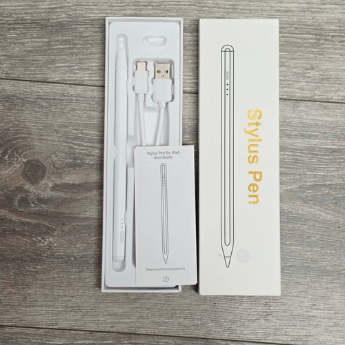 Penna stilografica per ipad - stilografica,